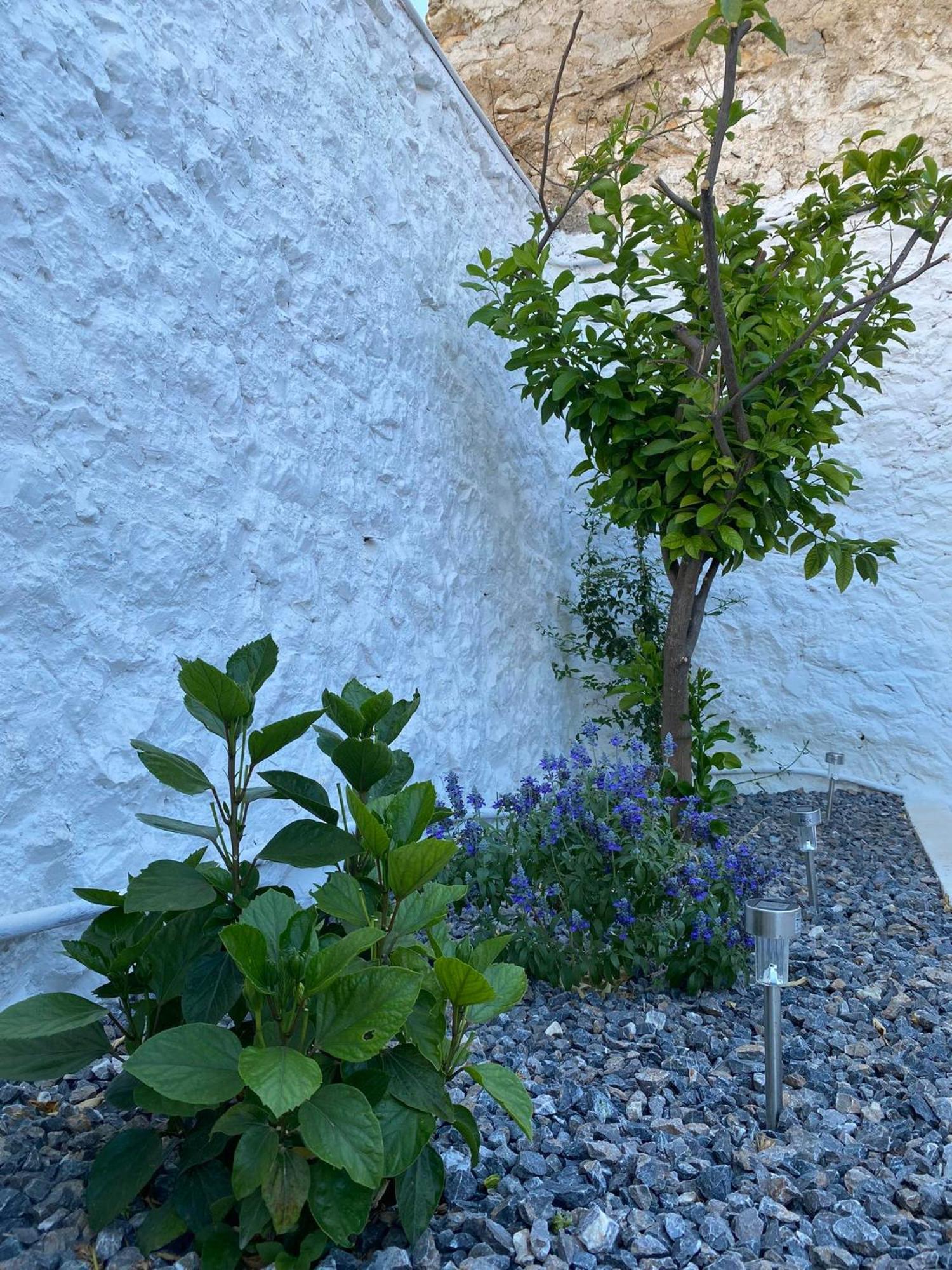 Ma Maison Nafplio Villa Bagian luar foto